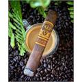 Oliva Serie V Melanio Double Toro 6  * 60