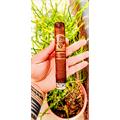 Oliva Serie V Melanio Double Toro 6  * 60