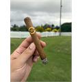 Warped La Colmena Amado No. 44 5 1/2 * 44