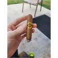 Warped La Colmena Amado No. 44 5 1/2 * 44