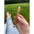Warped La Colmena Amado No. 44 5 1/2 * 44