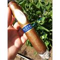 Davidoff Royal Release Robusto 5 1/2 * 55
