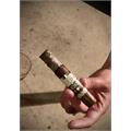 Plasencia Cosecha 146 La Musica Robusto 5  * 50