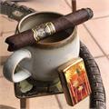 The Tabernacle Corona 5 1/4 * 46