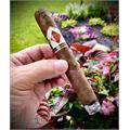 CAO Zocalo Gigante 6  * 60