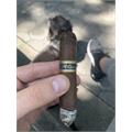 Mi Querida Ancho Corto 5  * 52