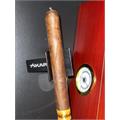 Muestra de Saka Nacatamale 6  * 48