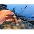 Umbagog Toro Toro 6  * 52