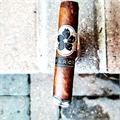 Room 101 The Farce Robusto 5  * 52