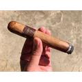 Asylum 13 Medulla 660 6  * 60