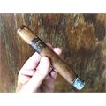 Asylum 13 Medulla Toro 6  * 52