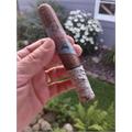 Diesel Whiskey Row Robusto 5 1/2 * 52