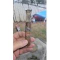 Diesel Whiskey Row Robusto 5 1/2 * 52