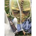 Deadwood Crazy Alice Robusto 4 1/2 * 52
