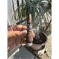 Deadwood Crazy Alice Robusto 4 1/2 * 52