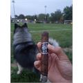 Alec & Bradley Blind Faith Toro 6  * 52