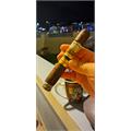 New World Puro Especial Gordo 6  * 60