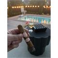 Southern Draw Rose of Sharon Robusto 5 1/2 * 54
