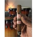 Southern Draw Rose of Sharon Toro 6  * 52