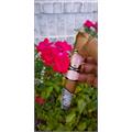 Southern Draw Rose of Sharon Toro 6  * 52