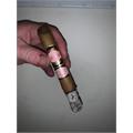 Southern Draw Rose of Sharon Toro 6  * 52