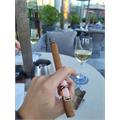 Southern Draw Rose of Sharon Lancero LE 7 1/2 * 40