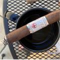 Joya Silver Corona 5 1/2 * 42