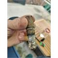 Oscar Valladares Altar Q Toro 6  * 52