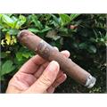 Asylum 13 Medulla Maduro 660 6  * 60