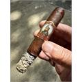 Tabernacle Havana Seed CT No.142 Robusto 5  * 50