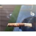 Tabernacle Havana Seed CT No.142 Toro 6  * 52