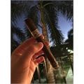 Liga Privada No. 9 Corona Viva 6  * 46