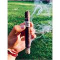 Liga Privada T52 Corona Viva 6  * 46