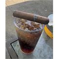 Tatuaje Black Petite Robusto 4  * 50