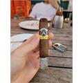 Aladino Maduro Box Pressed Robusto 5  * 50