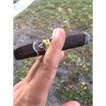 Aladino Maduro Box Pressed Toro 6  * 50