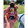 La Gloria Cubana Esteli Robusto 4 1/2 * 52
