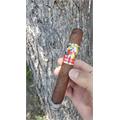 La Gloria Cubana Esteli Toro 5 1/2 * 54
