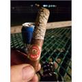 Punch Rare Corojo Pitas 6 1/8 * 50