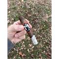 M by Macanudo Belicoso 6  * 54