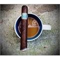 Herrera Esteli Brazilian Maduro Toro Especial 6  * 52