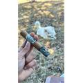 Rough Rider Sweets Connecticut Robusto 5  * 50