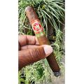 Arturo Fuente Rosado Sun Grown 8-5-8 6  * 47