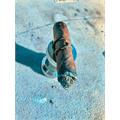 CAO Fuma Em Corda Toro 6  * 58
