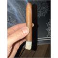 Warped Lirio Rojo 5 1/2 * 44