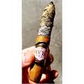 Southern Draw Rose of Sharon Perfecto LE 6  * 56