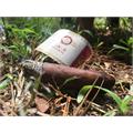 Joya de Nicaragua Cinco Decadas El General 7  * 50