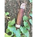 Tatuaje Monster Series The Bride No. 13 7 1/8 * 49