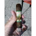 New World Cameroon Short Robusto 4  * 48