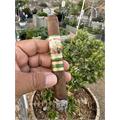 New World Cameroon Toro 6  * 50